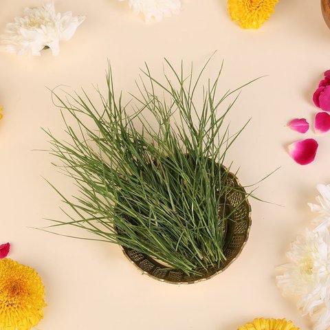 Doob/Durva Grass (Garike)