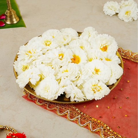 White Chrysanthemum Flowers